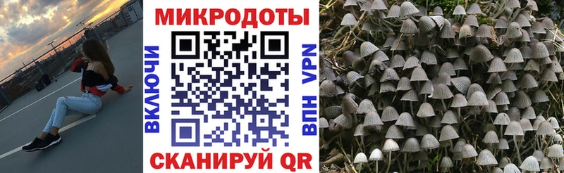 Галлюциногенные грибы Magic Shrooms  Любим 